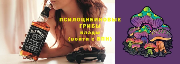 стафф Абинск