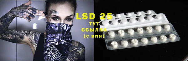 прущие грибы Абаза