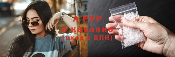 прущие грибы Абаза