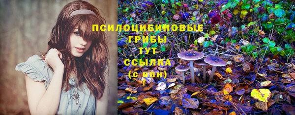 прущие грибы Абаза