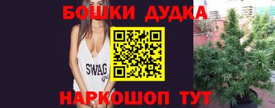 гидра Владикавказ